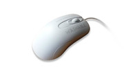 IN-0126553 C Mouse White