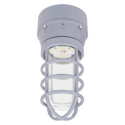 LED Hazardous Location Jelly Jar Fixture 20W 120-277V Dimmable 3000K Warm White Gray Finish Replacement