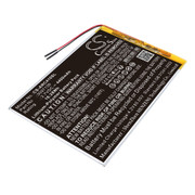 29100145 BATTERY