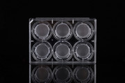 6 Cell Culture Inserts and 6 Well Plate 0.4 m PC Membrane Opaque TC Sterile 6 pk 24 cs Replacement