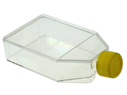 25cm 2 Cell Culture Flask Vent Cap Non-Treated sterile Maximum Working Volume 50mL 10 pk 200 cs Replacement
