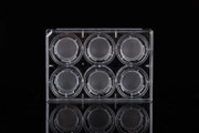 6 Cell Culture Inserts and 6 Well Plate 0.4 m PET Membrane Opaque Non-Treated Sterile 6 pk 24 cs Replacement