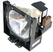 PL9901