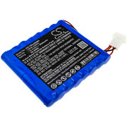 4894128150619 BATTERY