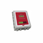 Deluxe Hydrogen Gas Monitor Two Channel Replacement