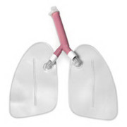 Replacement Lungs For Airway Management Trainer Replacement