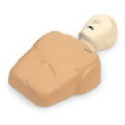 CPR Prompt Training and Practice Manikin Child-Adult Tan Replacement