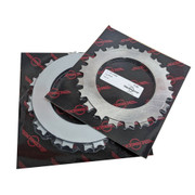 Beringer Brake Disc Pair Replacement