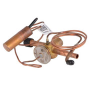 Expansion Valve NXT Indoor 4 Ton Replacement