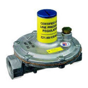 Gas Regulator Gas Valves Replacement