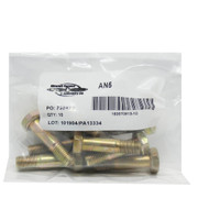 Bolt Undrilled 0.3125 IN x 0.75 IN Pack of 10 Replacement