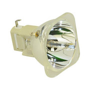 PD125 BULB BARE LAMP ONLY
