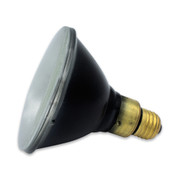 BLE-100S/MPAR38