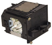 915P049010 / 915P049A10 LAMP & HOUSING