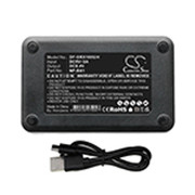 HDR-GWP88V CHARGER