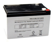 CP12100S BATTERY