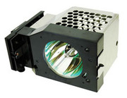 PT-60DL54 LAMP & HOUSING