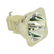 DX130 BULB BARE LAMP ONLY