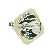 P-VIP 100/120W 1.0 E19.8A