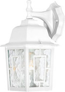 BANYAN 1 LIGHT 12 INCH OUTDOOR WALL WITH CLEAR WATER GLASS WHITE TRANSITIONAL