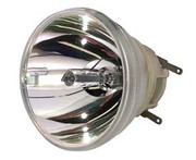 170W-240W E20.7 BULB