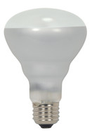 45 WATT HALOGEN BR25 FROSTED 2000 AVERAGE RATED HOURS 560 LUMENS MEDIUM BASE 120 VOLTS