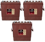 12 VOLT DEEP-CYCLE FLOODED BATTERY 921 225AH 3 PACK 36 TOTAL VOLTS IN-1KS99