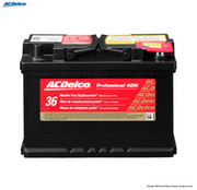 PROFESSIONAL AGM BATTERY 48 12 VOLTS
