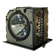 252115 LAMP CAGE Replacement