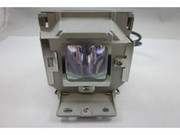 RLC-056 LAMP CAGE