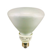 19-20W R40 DIMMABLE ENERGY EFFICIENT