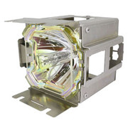 R98-41828 LAMP CAGE