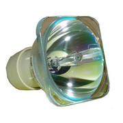 BULB ONLY IN-4DGL6