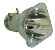BULB ONLY IN-4DGS8