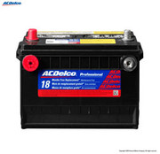 PROFESSIONAL BATTERY  12 VOLTS