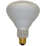 IN-0D4V2 LAMP