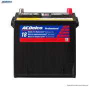 PROFESSIONAL BATTERY 25 12 VOLTS
