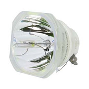 AC BARE LAMP IN-18BV6