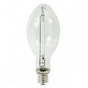 LAMP IN-0F446