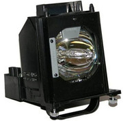 WD-60737 LAMP & HOUSING