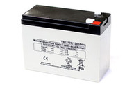 PE12V10B1 UPS BATTERY