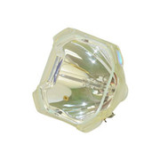 200W-P22C BARE LAMP ONLY