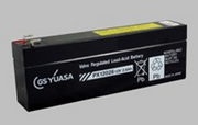 PX12022 UPS BATTERY