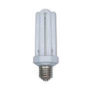 293610