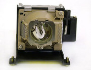 HP VP6110 LAMP & HOUSING