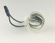 DL450 BARE LAMP ONLY