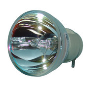 V11H456020 BARE LAMP ONLY