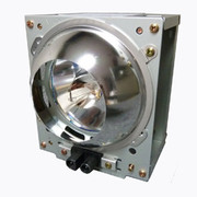 8262-4 LAMP & HOUSING