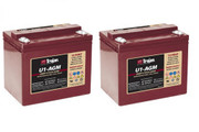 BD 40/12 C BP 24 VOLTS 2 PACK