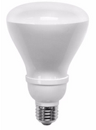 14W R30 INSTABRIGHT G2 ARMOR